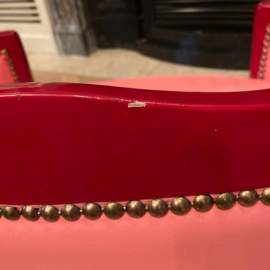 ピンクサロン小型犬