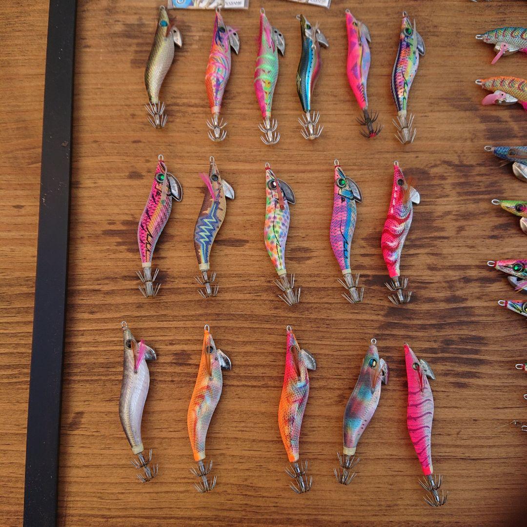 イカ、エギング