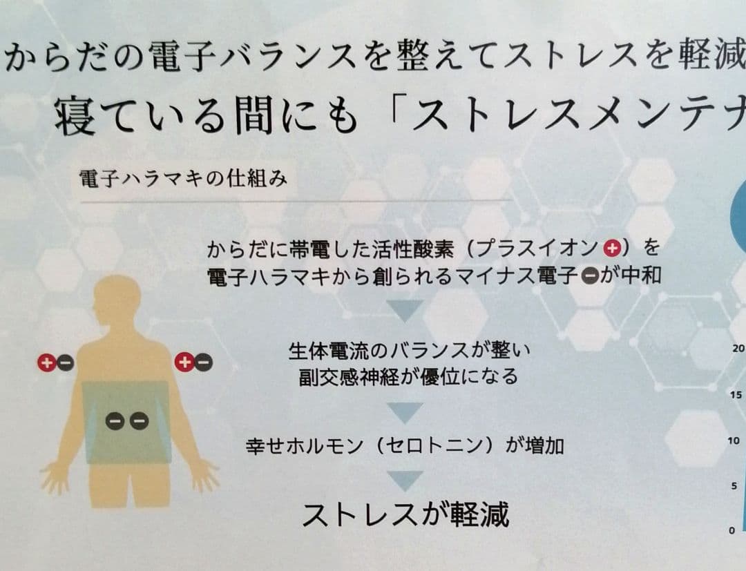 新品 BIYURA ビユラ 正規品 電子ハラマキ 黒 メンテナンスインナー