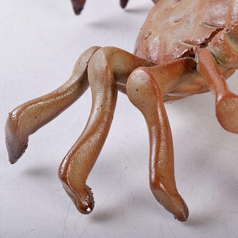 能登七尾　城山焼　國下三郎作　蟹　箱付　Z　8537