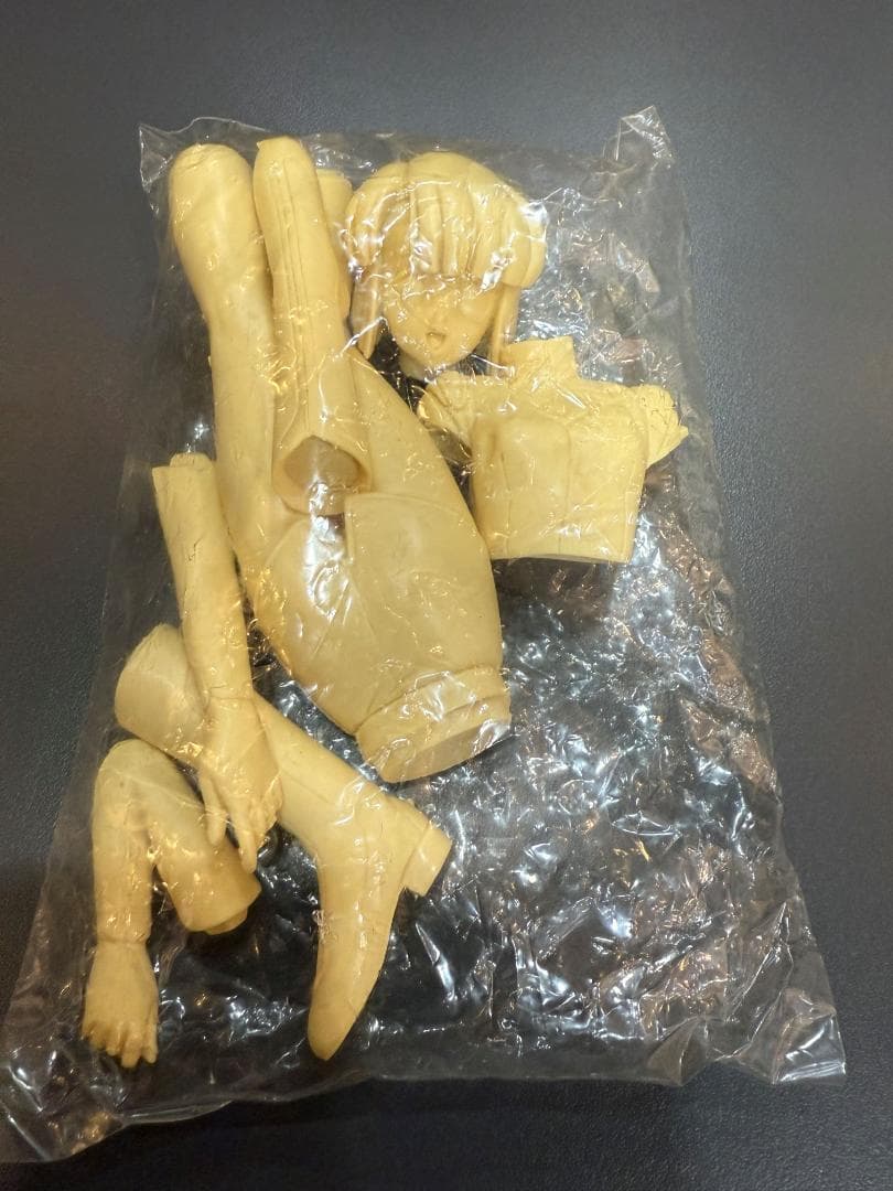 GALL FORCE 地球章 ガルフォース ガレージキット キャティ 中古品