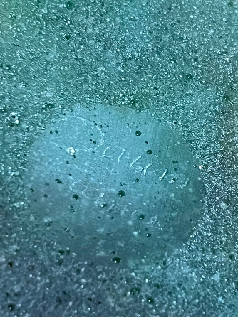 ドーム・ナンシー　ガラス　カエル