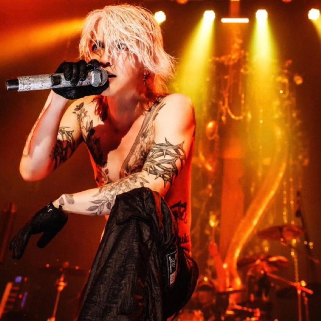 HYDE VAMPS ピック 本人使用 ハイド 非売品 ラルク