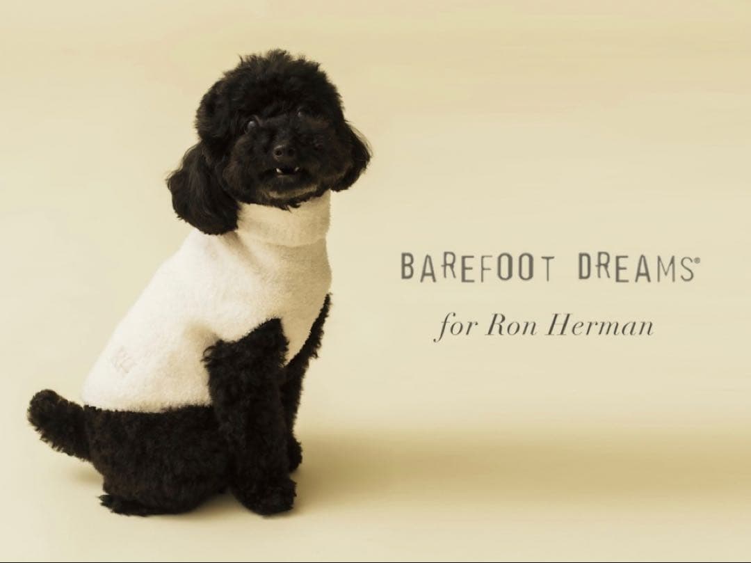 ☆未使用タグ付☆ロンハーマンベアフット犬服アイボリーSサイズ