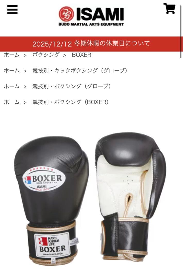ISAMI BOXER ボクシンググローブ 16 oz