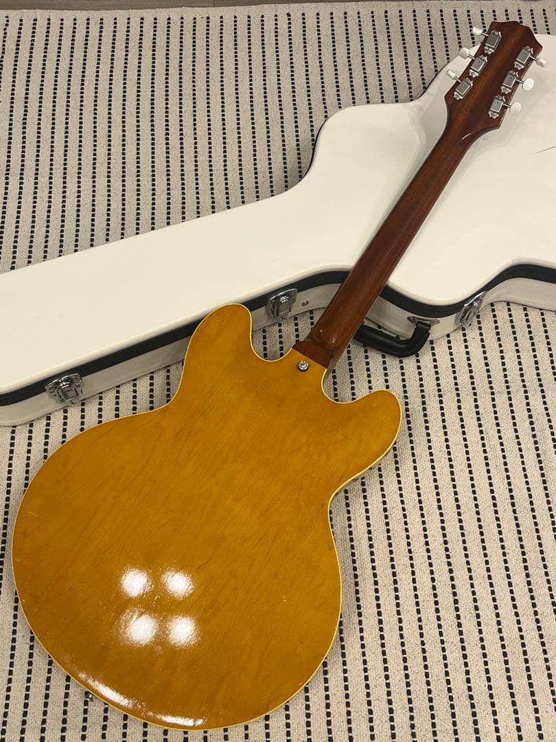 【f-arai】KING SNAKE Swamp