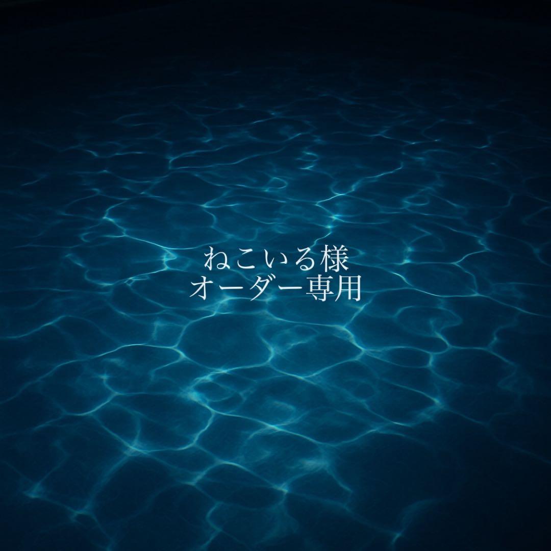 ねこいる様 オーダー専用