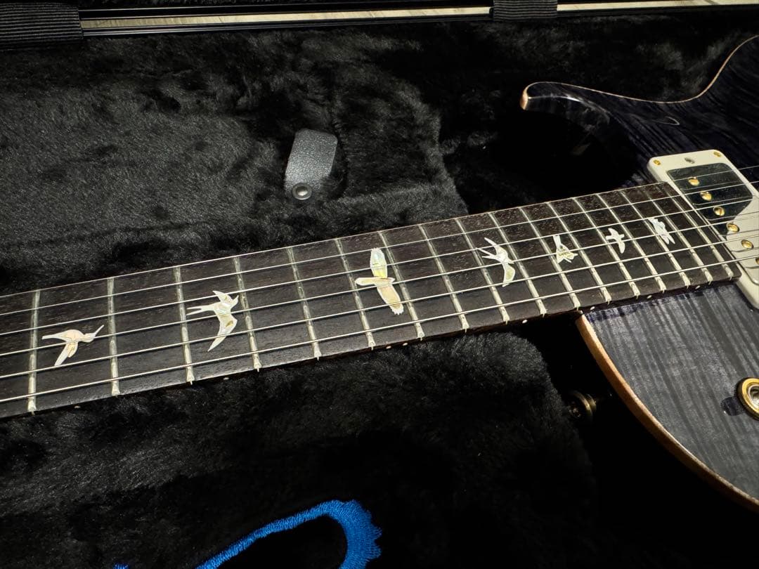 ギター Paul Reed Smith Mark Tremonti Signature