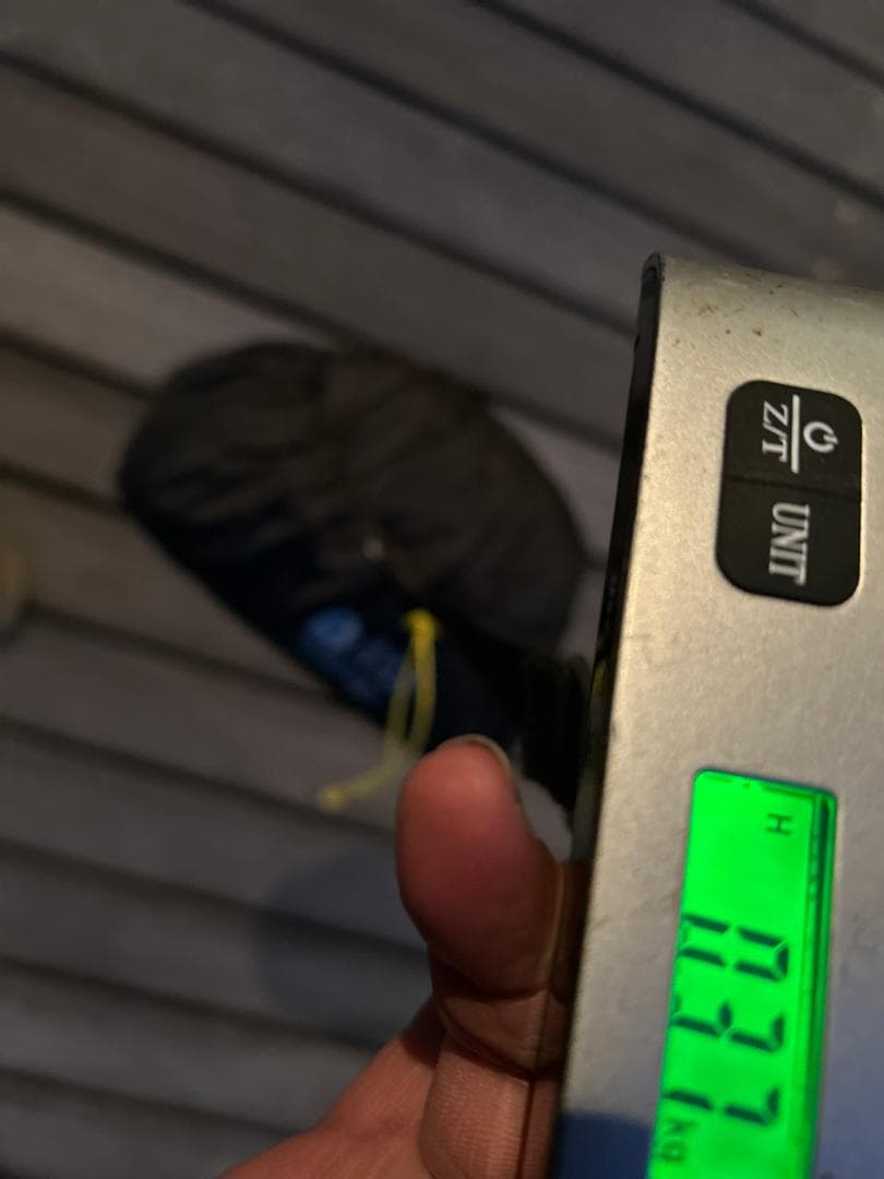 テント・タープ Sierra Designs Backcountry Bivy