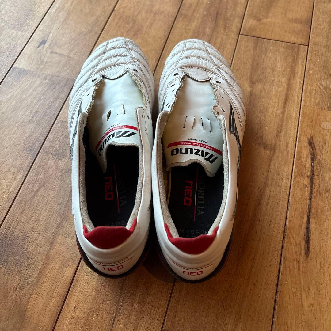 モレリアネオ4 取替式 26cm