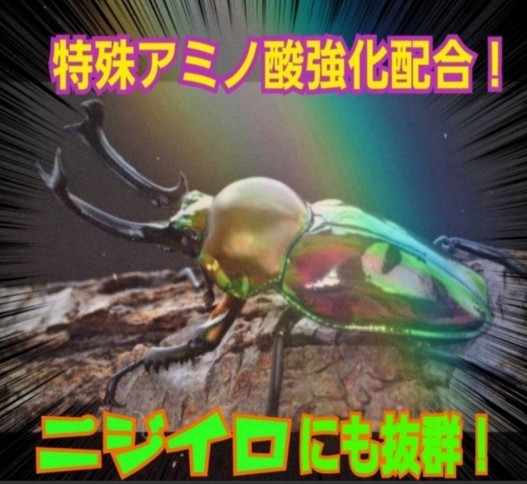 ヒマラヤひらたけ菌糸瓶1500ml 【５本】トレハロース、キトサン強化配合！