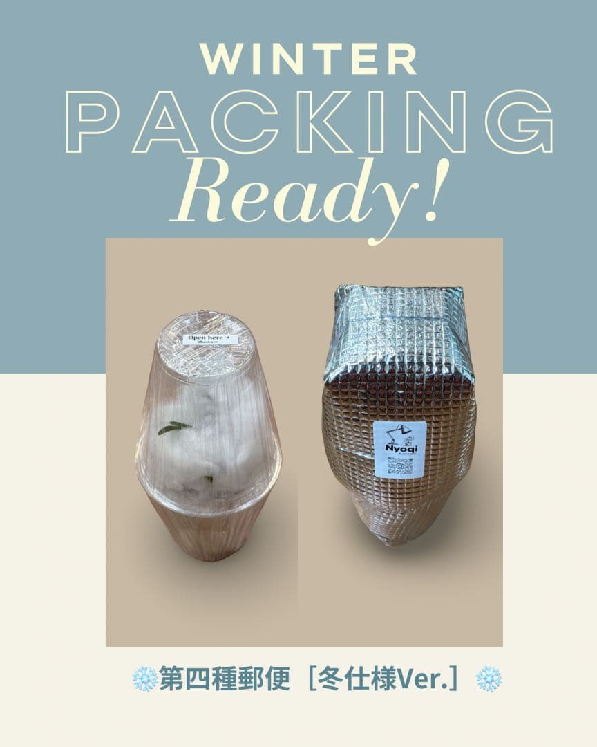 P. Willinckii Jenny #1 (TC)【6】