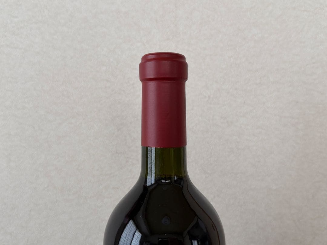 カテナサパータ アドリアンナヴィンヤード リヴァー ストーンズマルベック2016