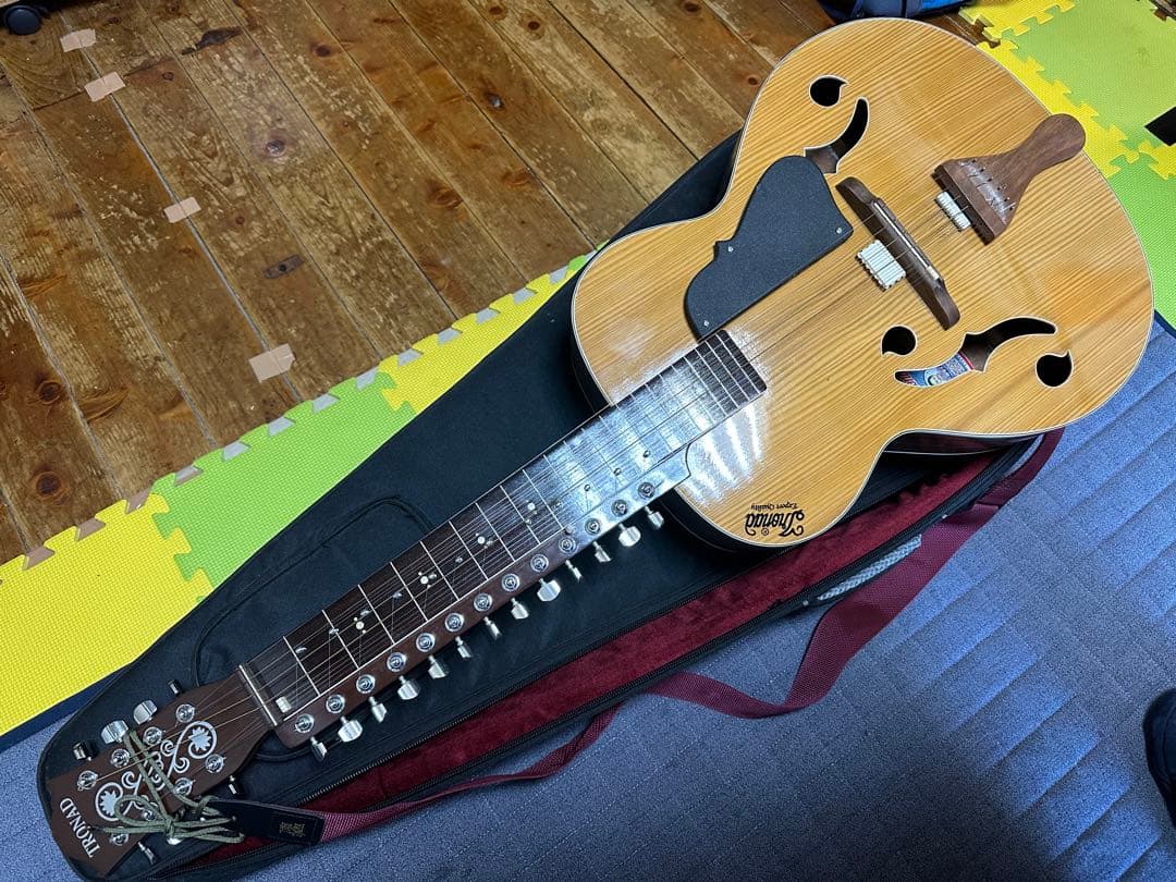 インド楽器 モハーンヴィーナ　Mohan Veena アコースティックギター