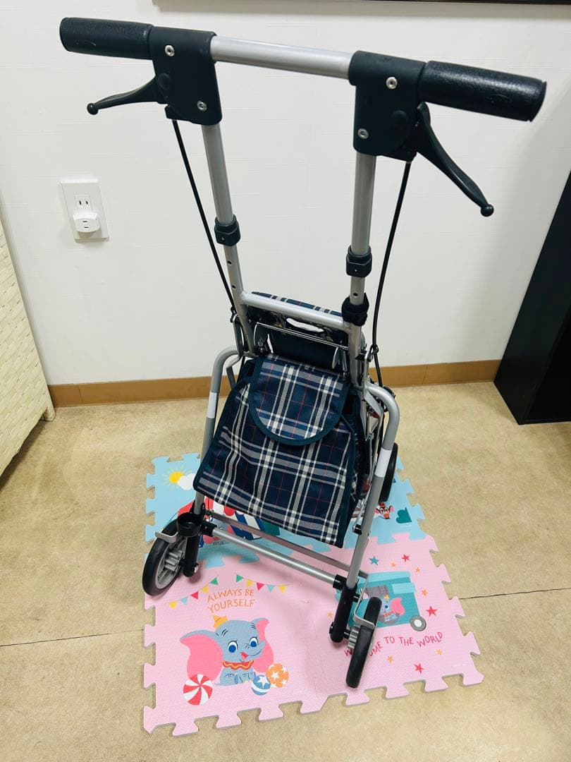 美品☆島製作所 サニーウォーカーAW-RB チェックNB 2025年購入品