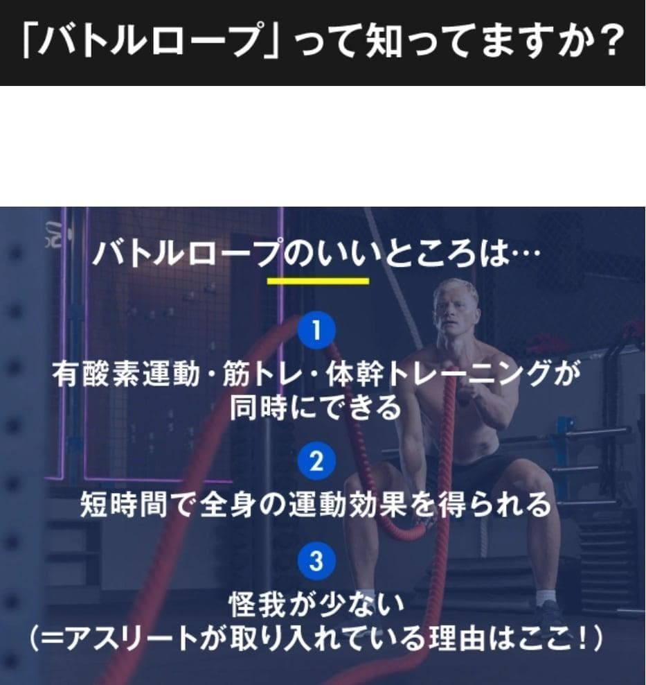 新品 ロープのいらないバトルロープ 全身トレーニング Z-Rope　パープル