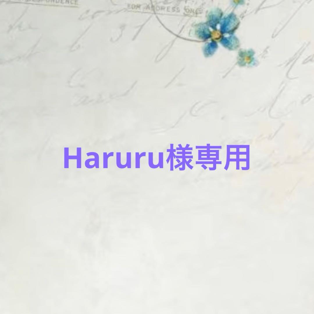 Haruru　15点