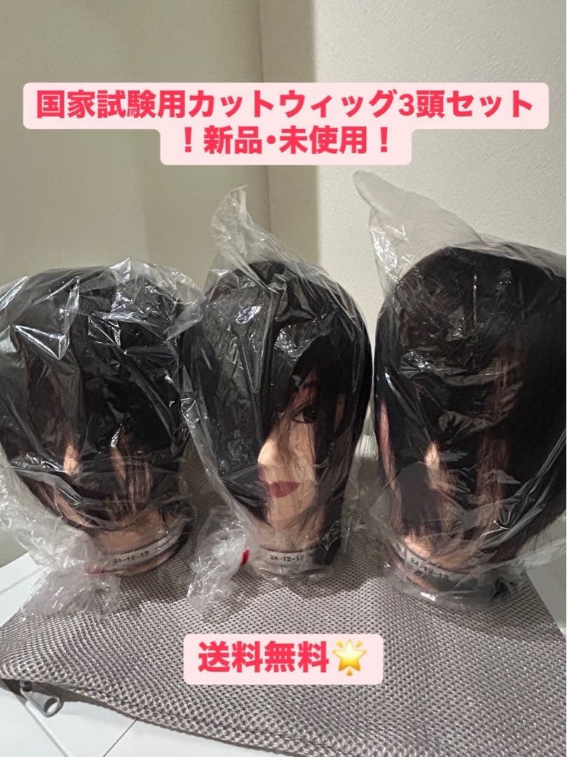 国家試験用カットウィッグ3頭新品未使用➕おまけウィッグ付き