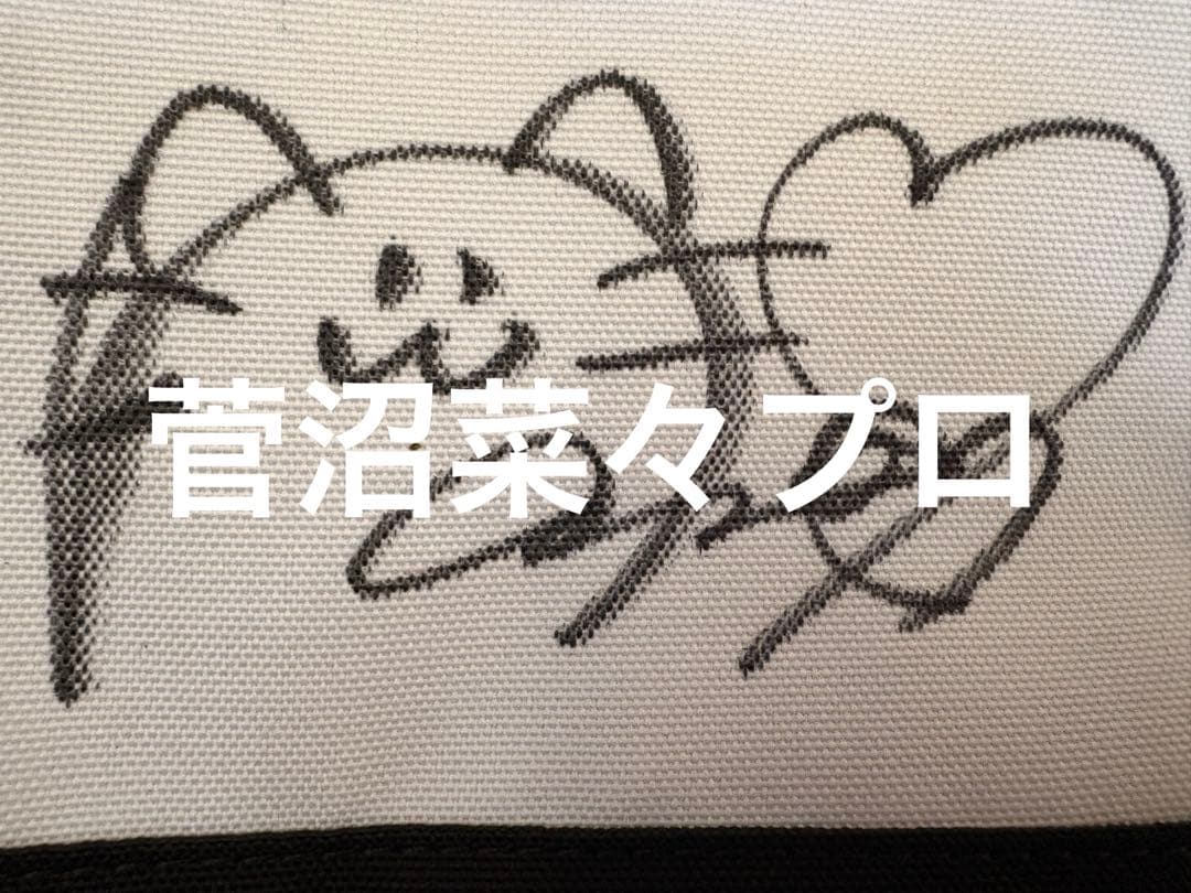 女子プロゴルファー　菅沼菜々渡邊彩香古江彩佳川崎春花直筆サイン入り　カートパック