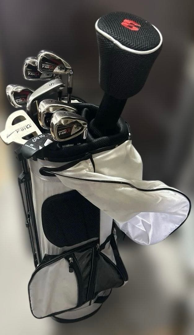 ワールドイーグルWORLD EAGLEゴルフアイアンクラブセットF-01α