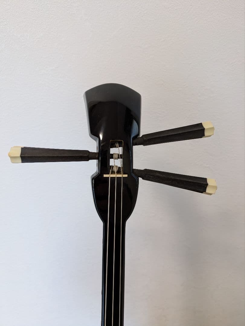 沖縄三線 蛇皮風 フルセット 譜面台兼スタンド 教本付 ケース・チューナー付