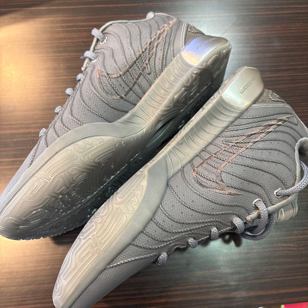 猫*ー様 Nike LeBron21 グレー