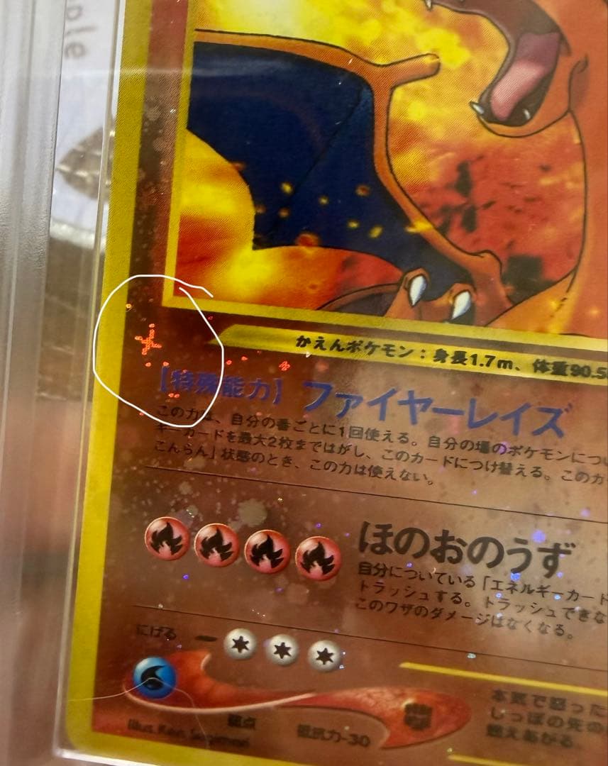 リザードン ARS10 neo プレミアムファイル 鑑定書付き