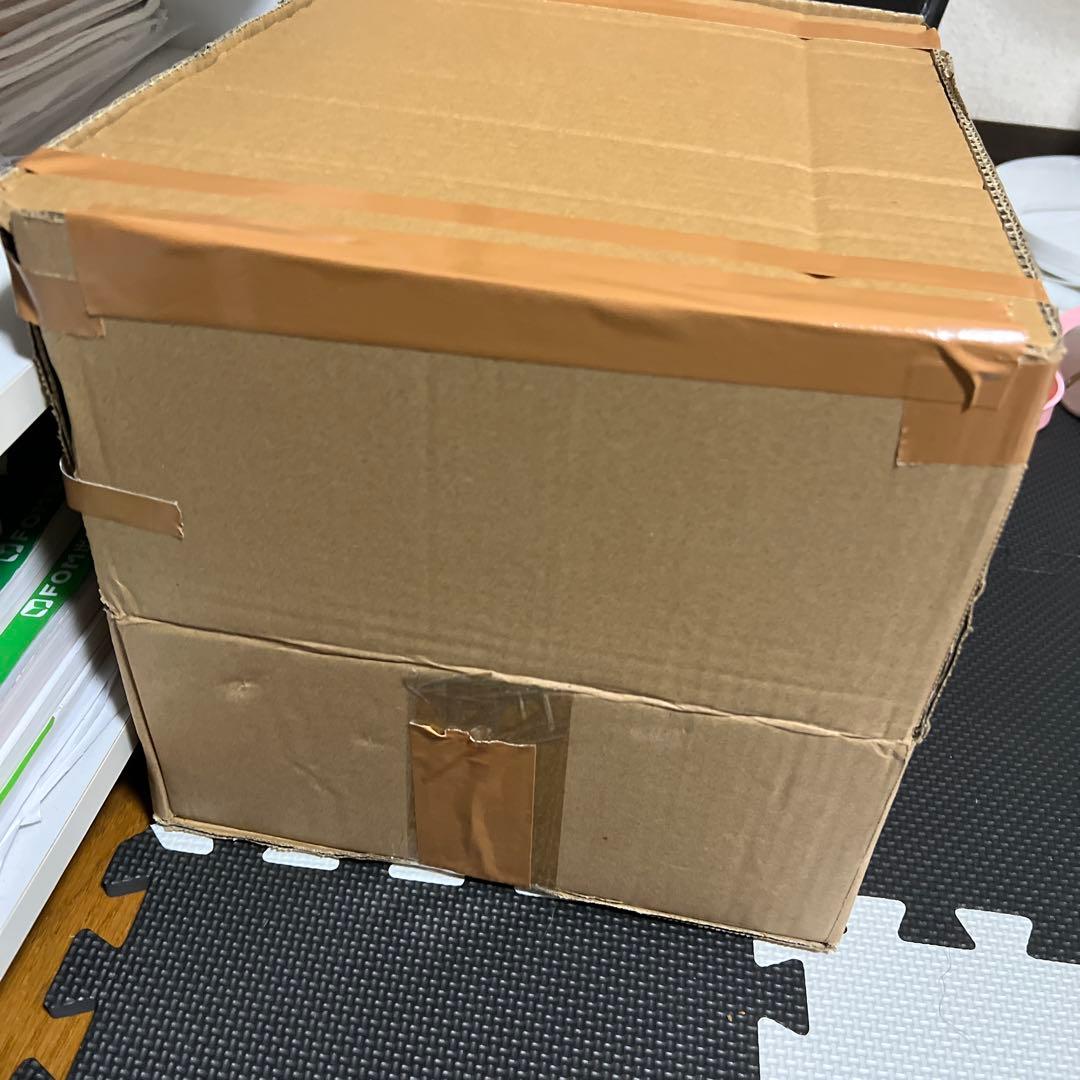 FLF 1/20 POKEMON フィギュア 2体セット　原色のみ