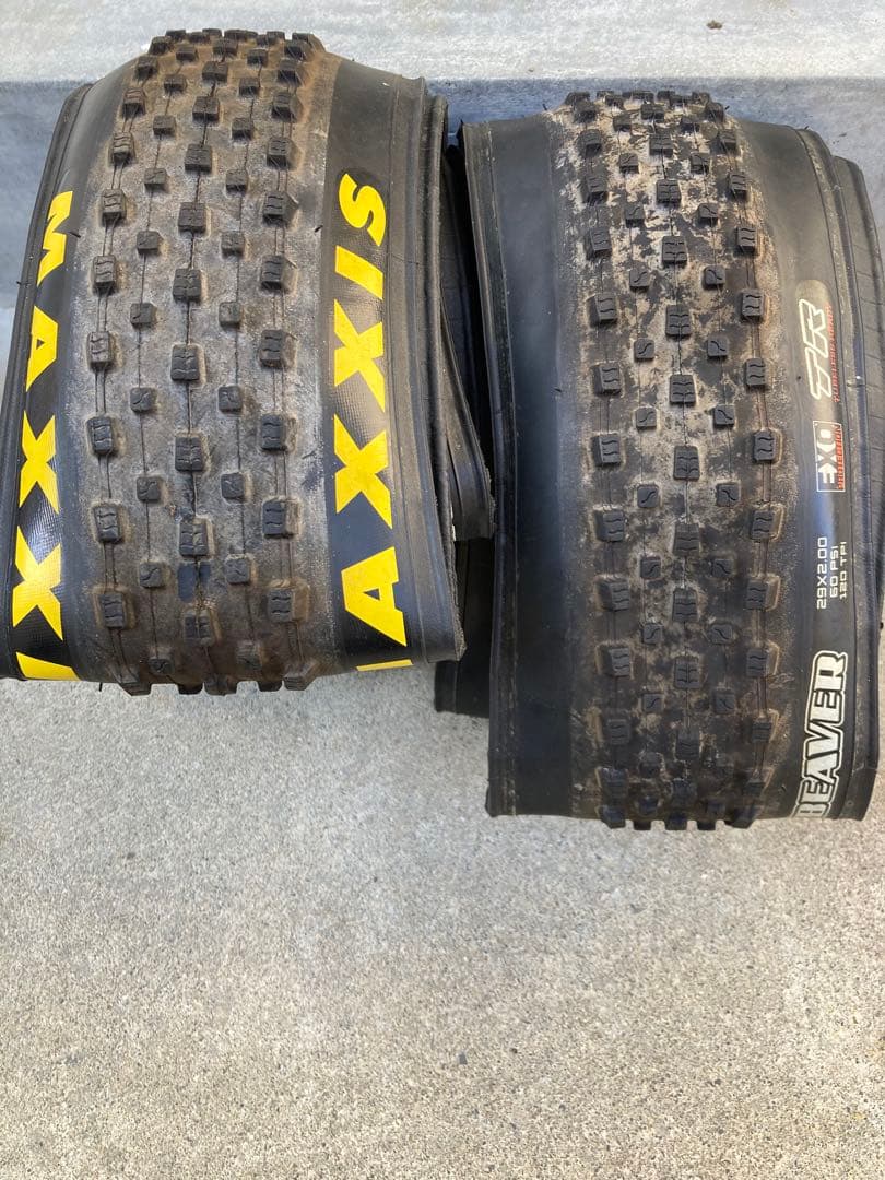 MAXXIS BEAVER 29x2.00 チューブレスタイヤ　マキシス