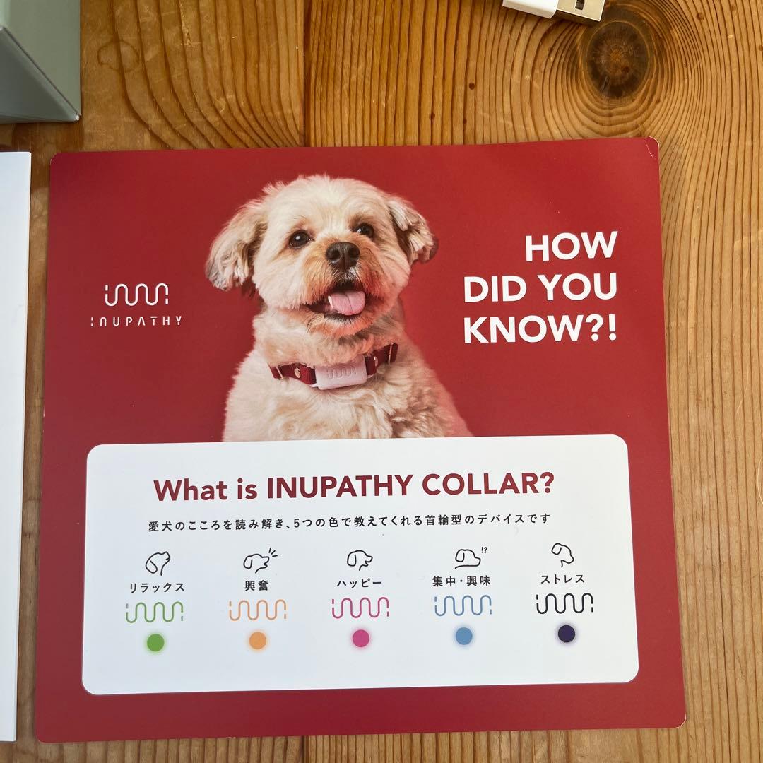 イヌパシー・カラー ・スタートセット(首輪) ベージュ L ホームステーション付