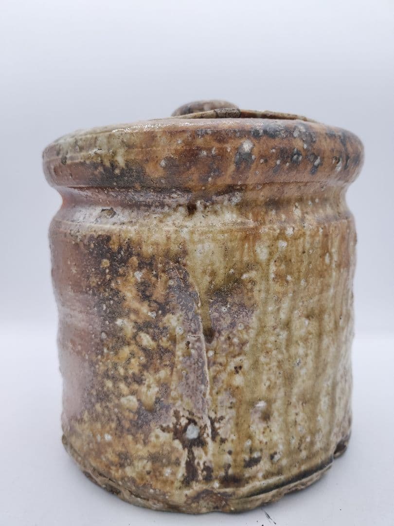 c507 信楽水指 高橋楽斉 木箱 茶道具 古物