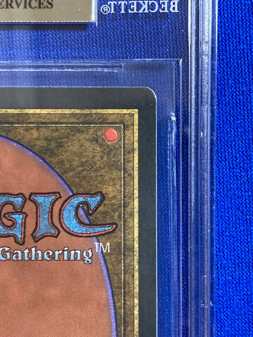 イタリア語 Revised Tundra dual land BGS9.5鑑定品