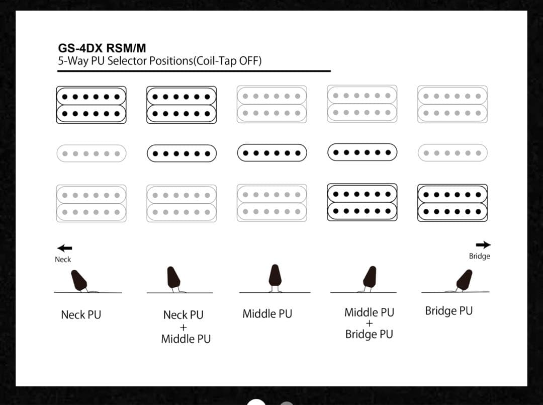 Bacchus GS-4DX RSM/M BLK ステンレスフレット