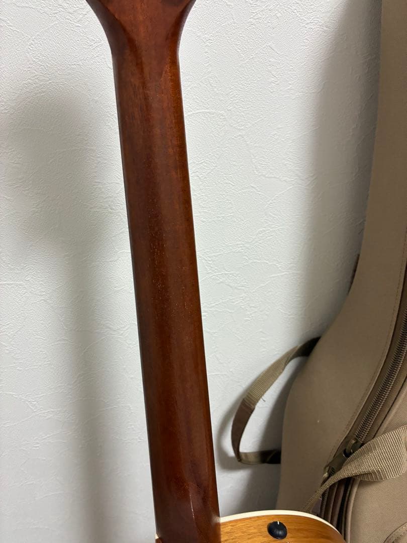 y*-様 Taylor 214ce-Koa アコースティックギター