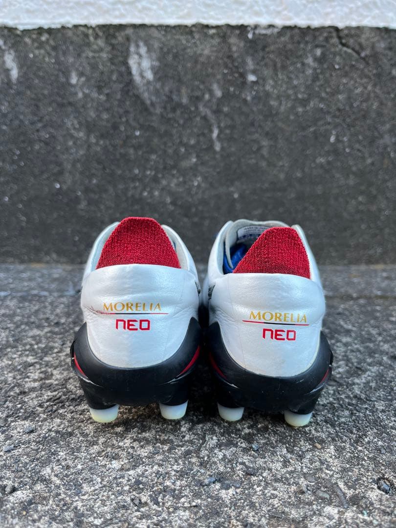 モレリアNEO4 JAPAN 22cm