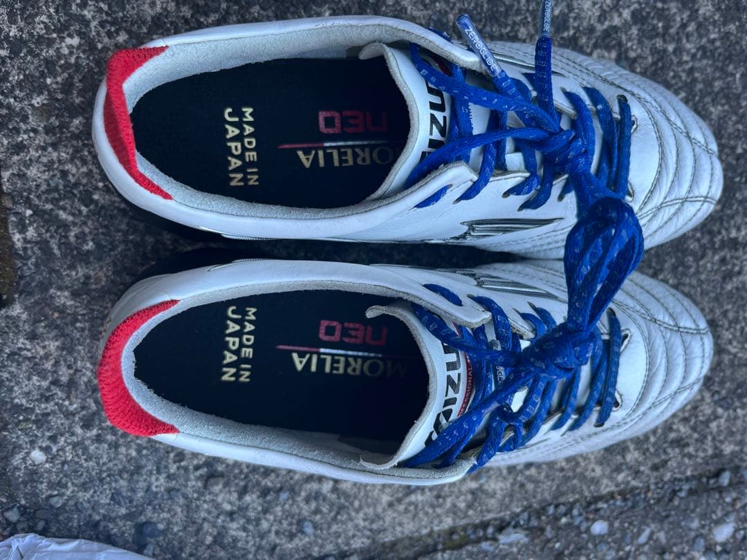 モレリアNEO4 JAPAN 22cm