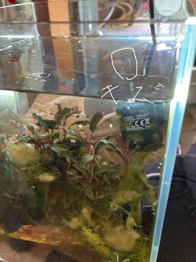 ADA ミニNAセットのレギュレータ無しになります