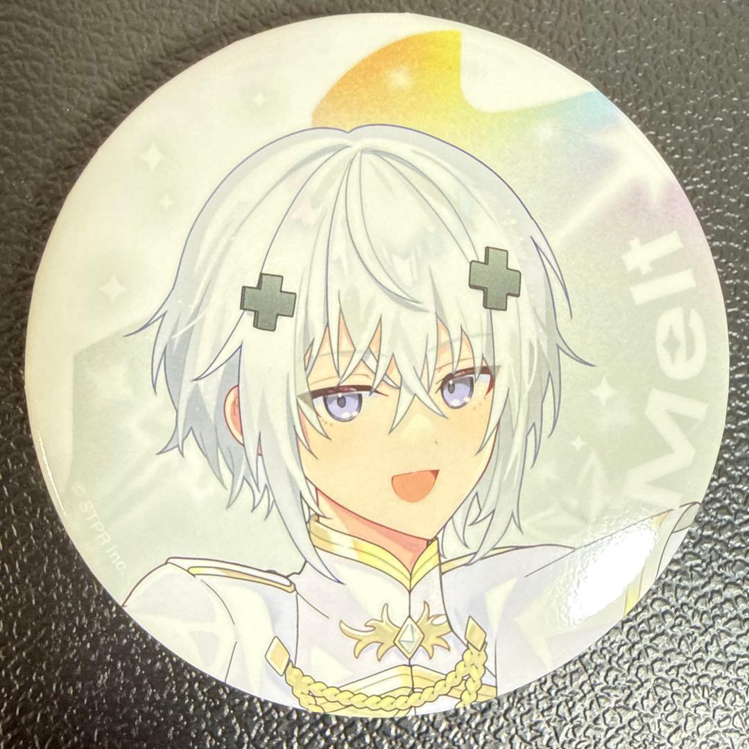 Melt すとふぇす 2026 等身 めておら 缶バッジ 27点