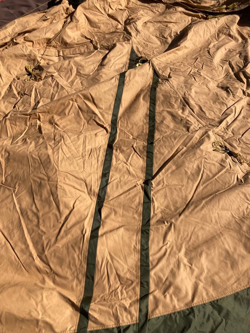 テンティピ　サファイア9cp他オプション