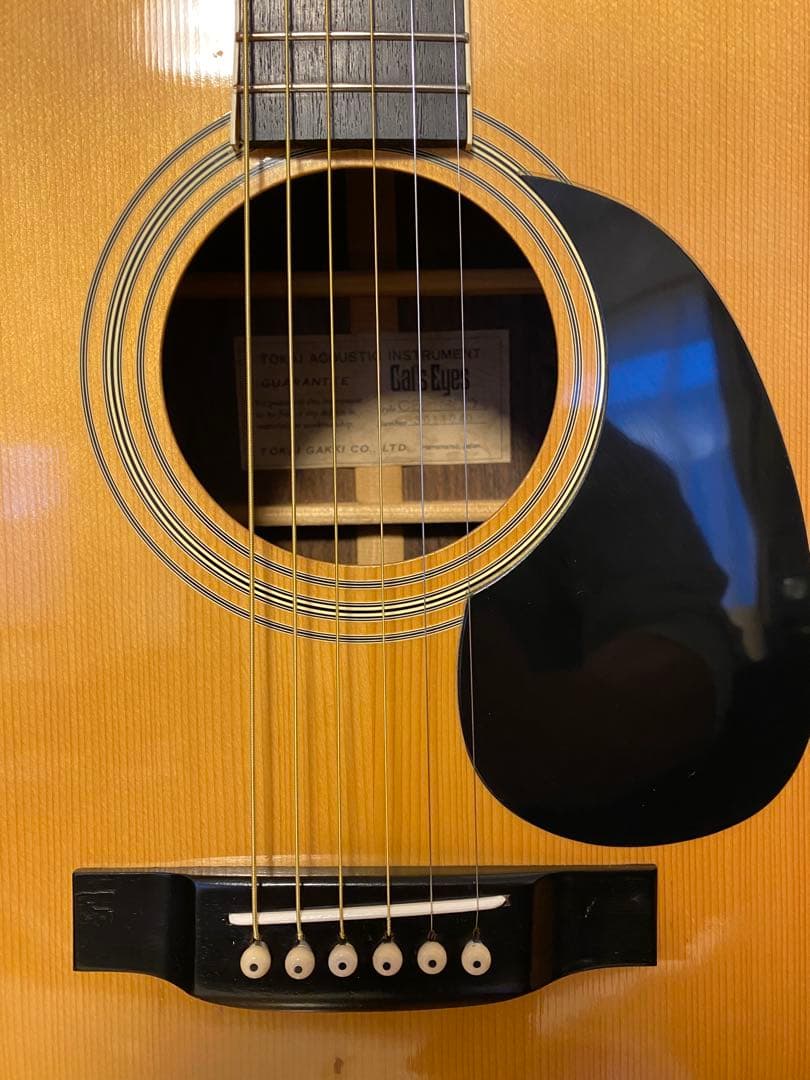 Cat's Eyes CE300アコースティックギター