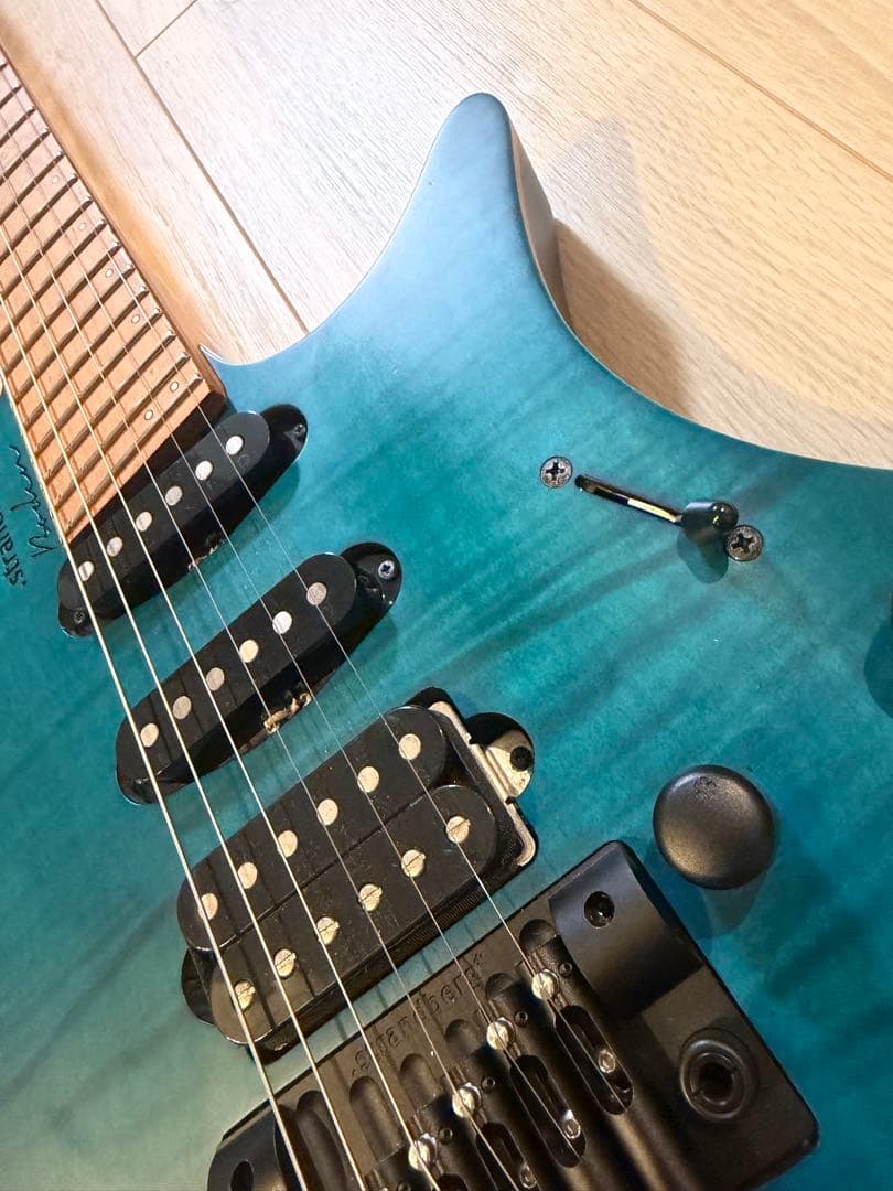 ギター strandberg boden standard 6 trem