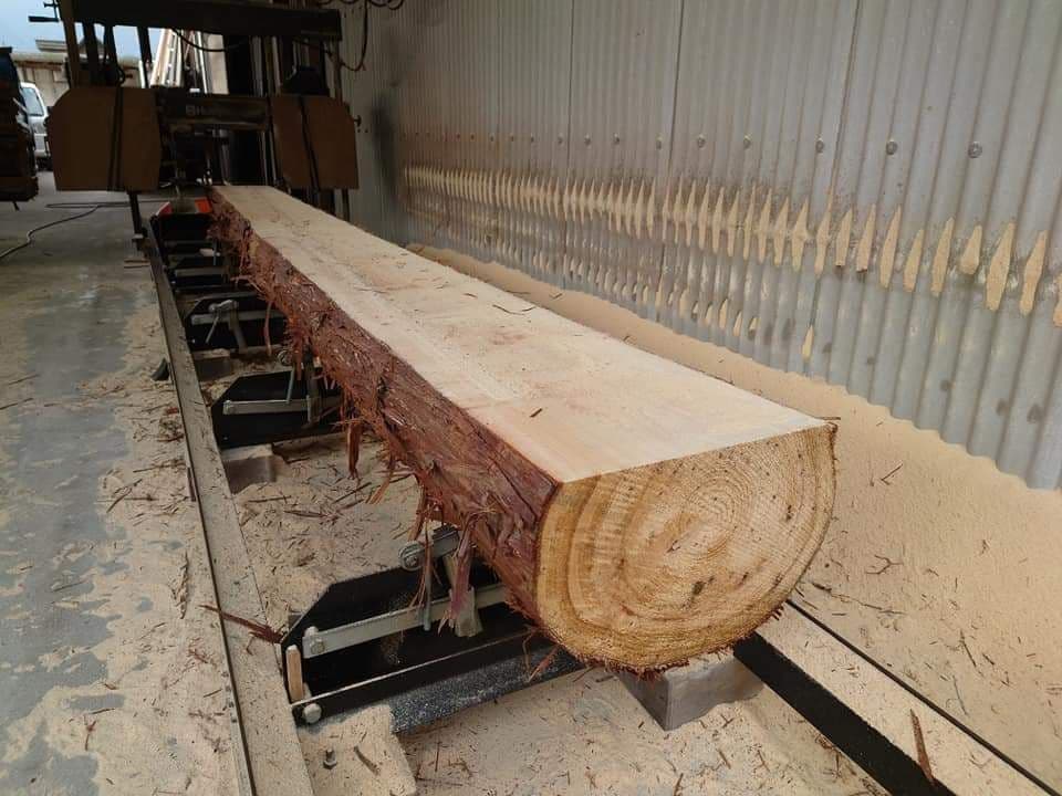 ひのき・すぎ・かんなくず、購入専用