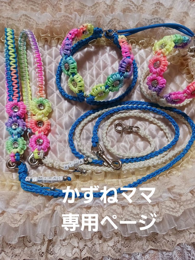 パラコードハーネス、リードセット