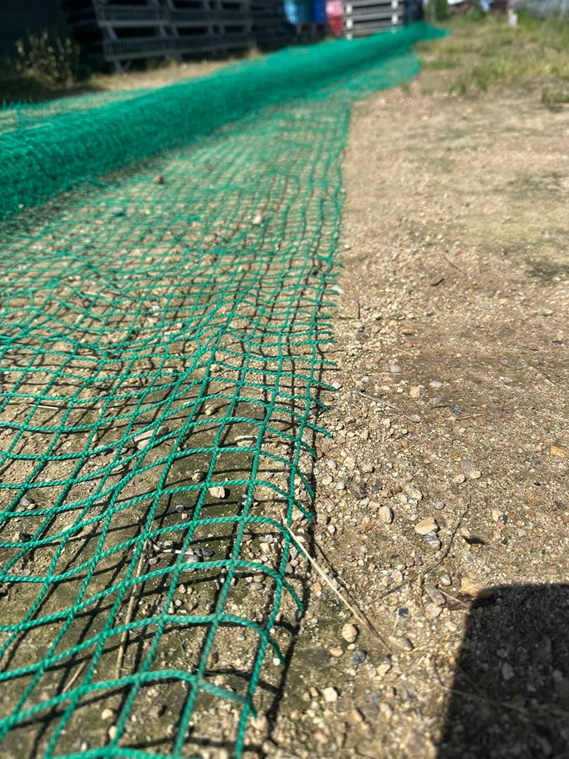 防球ネット 防鳥ネット4m×16m 目合い2.5cmメッシュ　縁無し