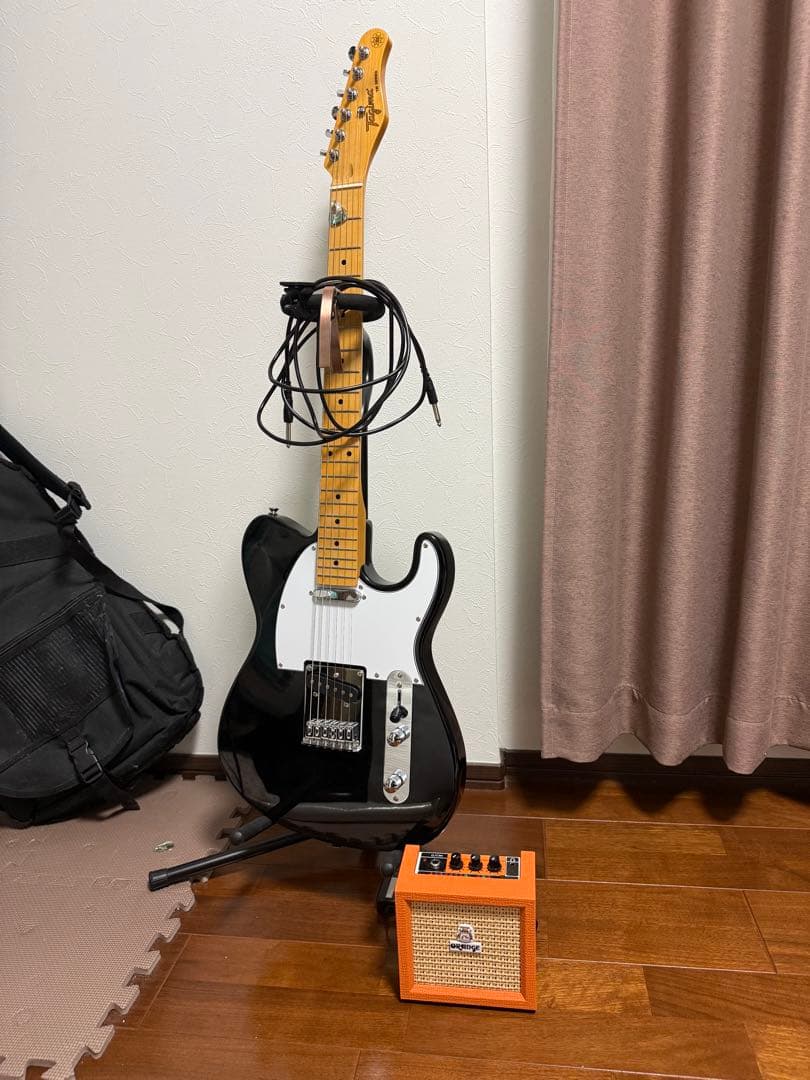 ギター Tagima guitar tw-55