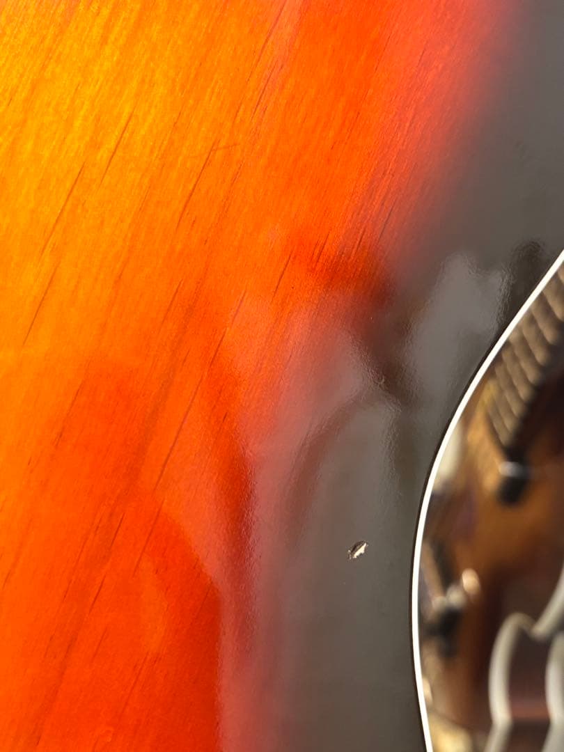 Vanzandt TLV-R2 【マダガスカルローズ指板】美品