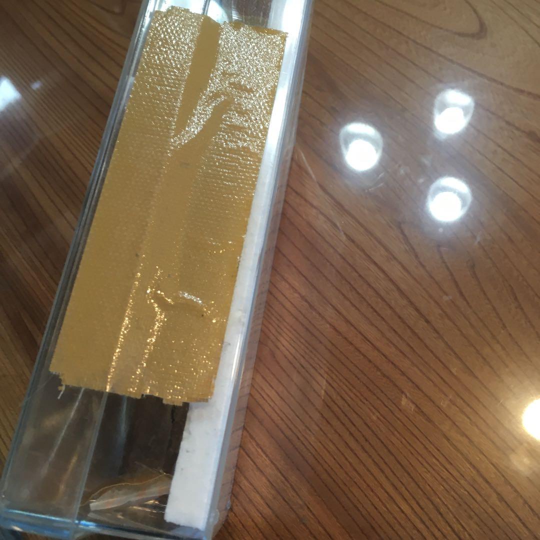 蝶のはくせい　標本　かなり大きい蝶です