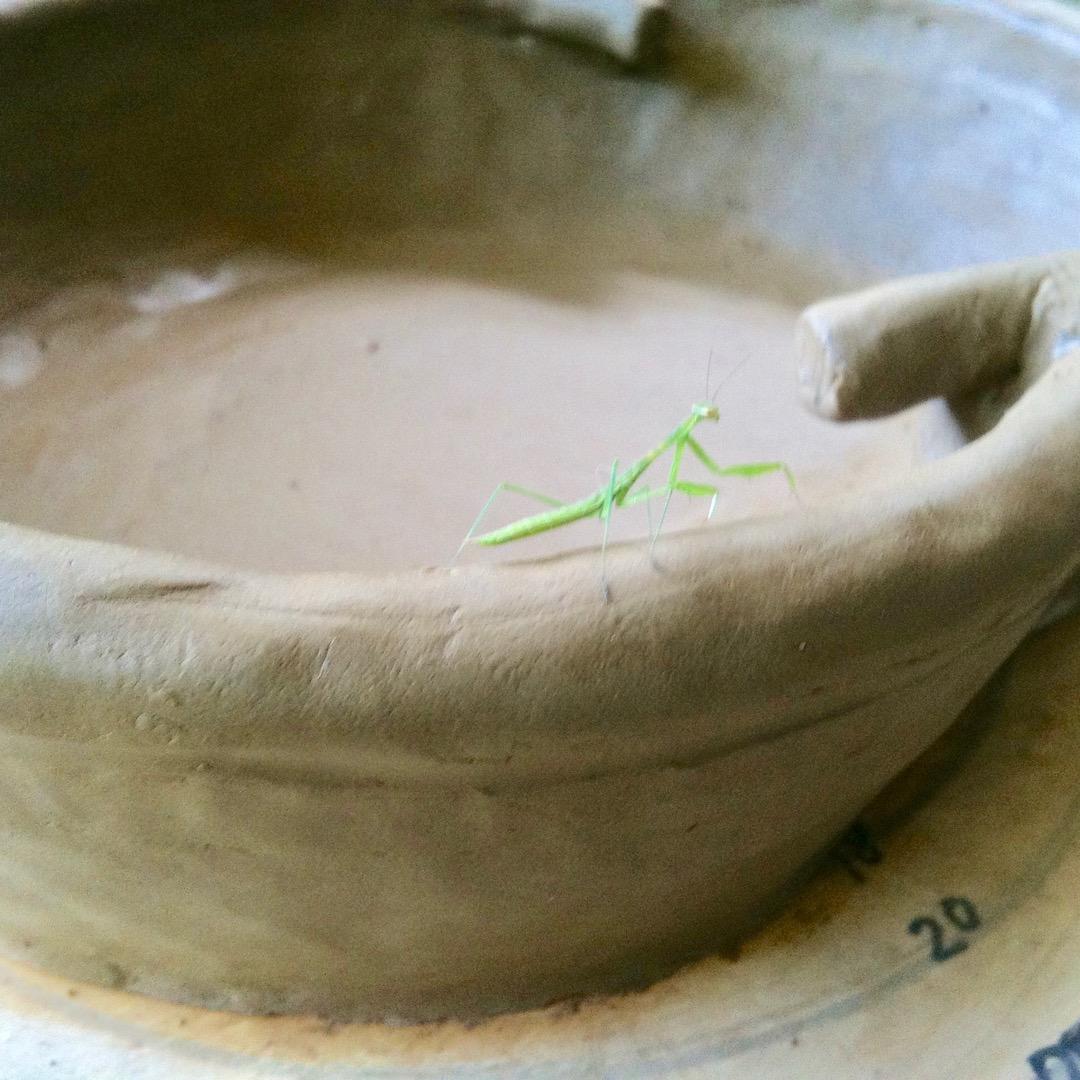 No.2 バードバス　餌台　：小鳥二羽、カタツムリ、カエル、カメ　焼き締め焼成