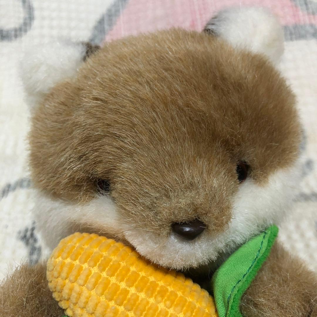 OIKE オオイケ　野菜物語　コーンキツネ　特大＆小　ぬいぐるみセット　中古品