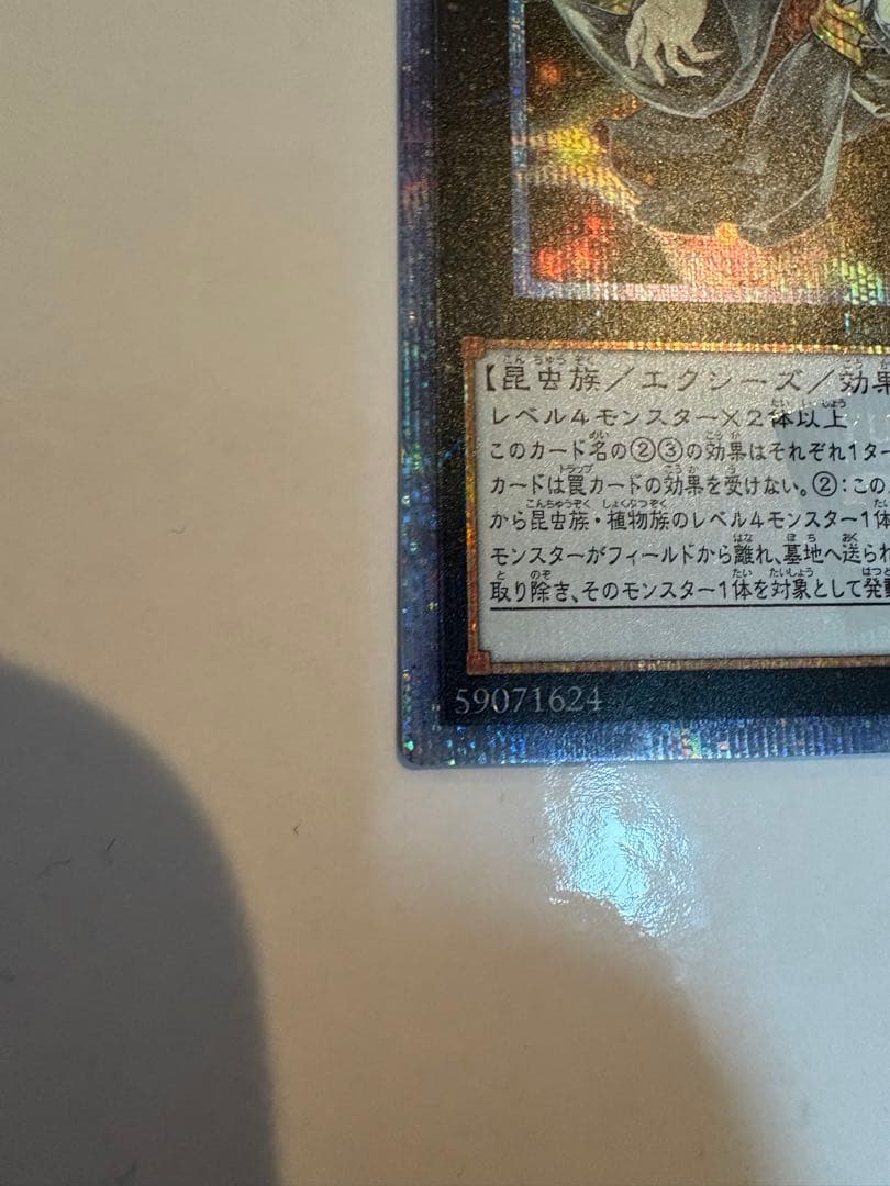 遊戯王 アロメルスの蟲惑魔 20thシークレット